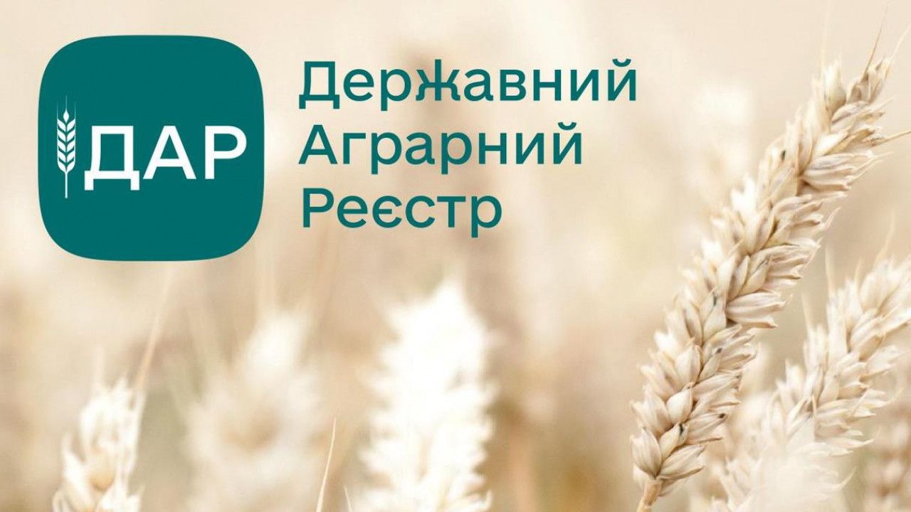 Farmers From The De-occupied Territories Can Receive State Aid At The ...